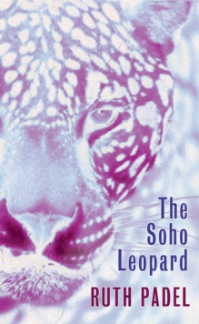 The Soho Leopard, Paperback Book The Soho Leopard, Paperback Book