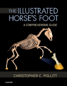 The Illustrated Horse's Foot : A comprehensive guide