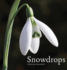 Snowdrops, Hardback Book Snowdrops, Hardback Book