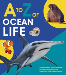 to Z of Ocean Life