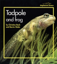 Stopwatch Big Book: Tadpole and Frog, Paperback Book Stopwatch Big Book: Tadpole and Frog, Paperback Book
