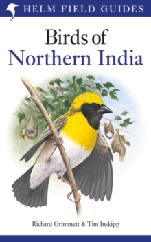 Birds of Northern India, Paperback / softback Book Birds of Northern India, Paperback / softback Book