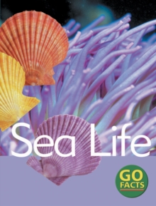 Sea Life, Paperback Book Sea Life, Paperback Book