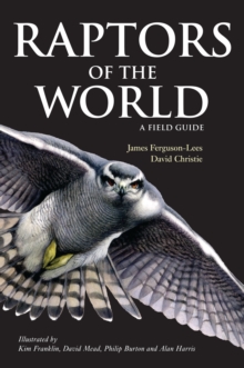 Raptors of the World : A Field Guide, Paperback Book Raptors of the World : A Field Guide, Paperback Book