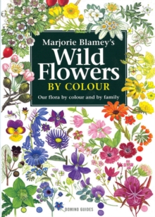 Wild Flowers by Colour : The Easy Way to Flower Identification, Paperback Book Wild Flowers by Colour : The Easy Way to Flower Identification, Paperback Book