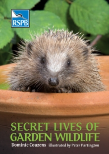 Secret Lives of Garden Wildlife, Paperback / softback Book Secret Lives of Garden Wildlife, Paperback / softback Book