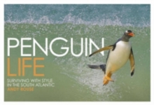 Penguin Life : Surviving with Style in the South Atlantic, Hardback Book Penguin Life : Surviving with Style in the South Atlantic, Hardback Book