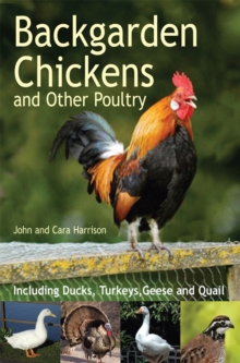 Backgarden Chickens and Other Poultry, Paperback Book Backgarden Chickens and Other Poultry, Paperback Book