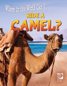 Ride a Camel?