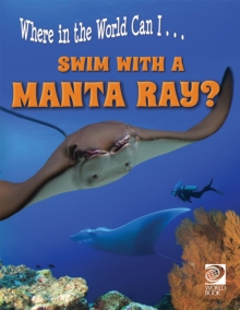 Swim with a Manta Ray?