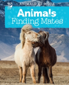 Animals Finding Mates