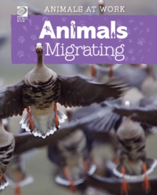 Animals Migrating