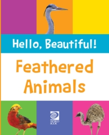 Feathered Animals