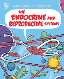 The Endocrine and Reproductive Systems