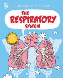 The Respiratory System