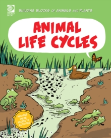 Animal Life Cycles