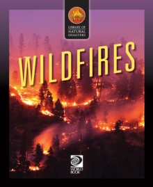 Wildfires