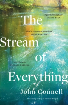 The Stream of Everything