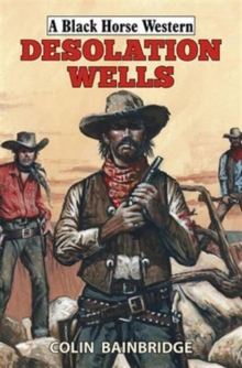 Desolation Wells, Hardback Book Desolation Wells, Hardback Book