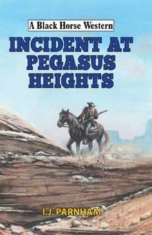 Incident at Pegasus Heights, Hardback Book Incident at Pegasus Heights, Hardback Book