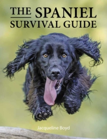 Spaniel Survival Guide