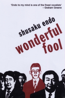 Wonderful Fool, Paperback Book Wonderful Fool, Paperback Book