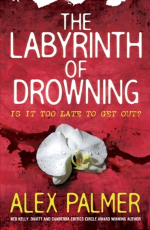 The Labyrinth of Drowning