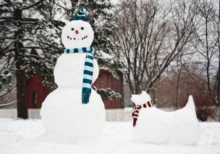 Snowman & Snowdog Half Note, Cards Book Snowman & Snowdog Half Note, Cards Book