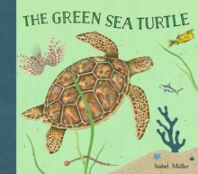 The Green Turtle, Hardback Book The Green Turtle, Hardback Book