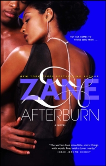 Afterburn : A Novel