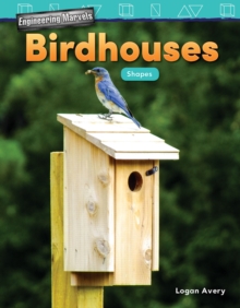 Engineering Marvels: Birdhouses : Shapes