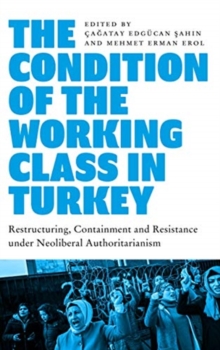 The Condition of the Working Class in Turkey : Labour under Neoliberal Authoritarianism