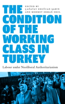 The Condition of the Working Class in Turkey : Labour under Neoliberal Authoritarianism