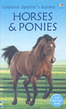 Horses And Ponies, Paperback Book Horses And Ponies, Paperback Book