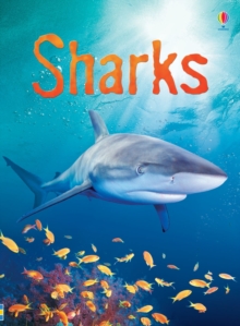 Sharks, Hardback Book Sharks, Hardback Book