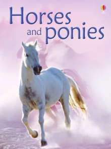 Horses And Ponies, Hardback Book Horses And Ponies, Hardback Book