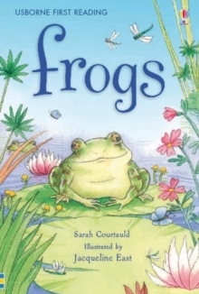 Frogs, Hardback Book Frogs, Hardback Book