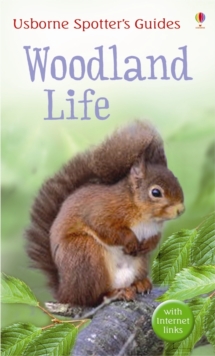 Woodland life, Paperback Book Woodland life, Paperback Book