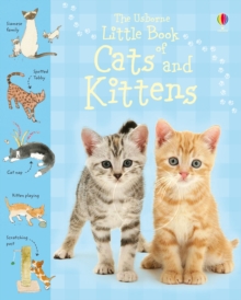 Little Book of Cats and Kittens, Hardback Book Little Book of Cats and Kittens, Hardback Book