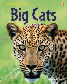 Big Cats, Hardback Book Big Cats, Hardback Book