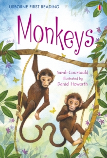 Monkeys, Hardback Book Monkeys, Hardback Book