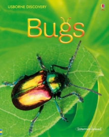 Bugs, Hardback Book Bugs, Hardback Book