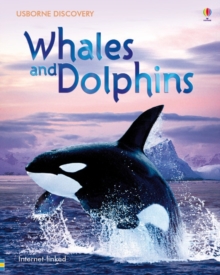 Whales and Dolphins, Hardback Book Whales and Dolphins, Hardback Book