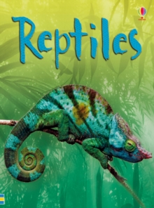 Reptiles