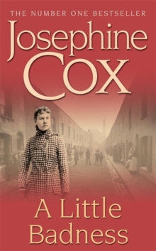 A Little Badness, Paperback Book A Little Badness, Paperback Book