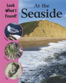 Look What I Found!: At The Seaside, Paperback Book Look What I Found!: At The Seaside, Paperback Book