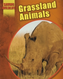 Grassland Animals, Hardback Book Grassland Animals, Hardback Book