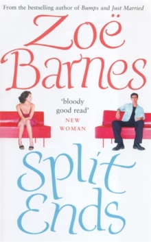 Split Ends, Paperback Book Split Ends, Paperback Book