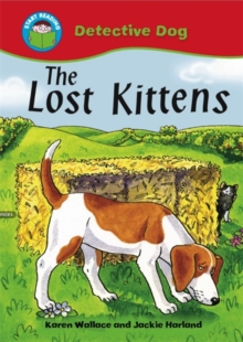 The Lost Kittens, Paperback Book The Lost Kittens, Paperback Book