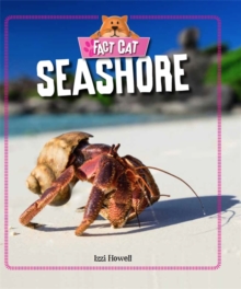 Seashore, Hardback Book Seashore, Hardback Book